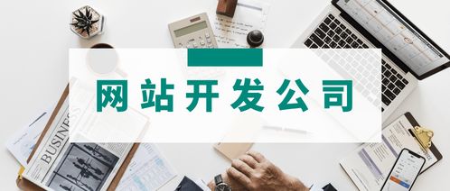 3家專業(yè)網(wǎng)站開發(fā)公司簡(jiǎn)介 哪家的網(wǎng)站建設(shè)服務(wù)更適合你的運(yùn)營(yíng)管理需求？