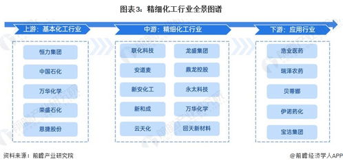 預見2024 中國精細化工產業全景圖譜、市場規模、競爭格局與發展前景